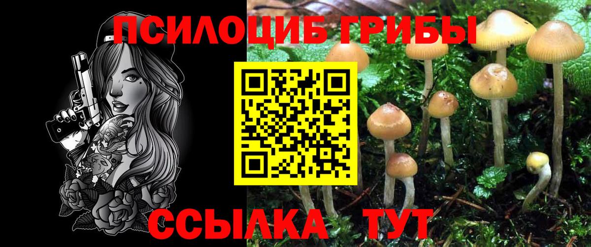 Галлюциногенные грибы MAGIC MUSHROOMS  Вход с VPN  Светлоград 