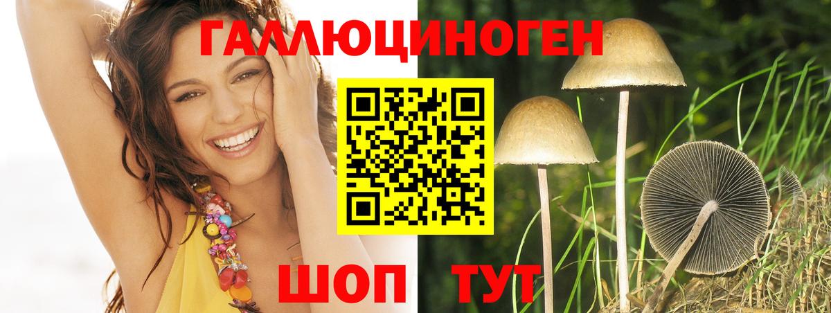 Галлюциногенные грибы ЛСД Светлоград
