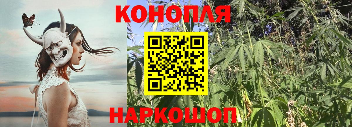 Бошки марихуана гибрид  Вход с VPN  МАРИХУАНА Ganja  Светлоград  Конопля гибрид 